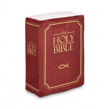 Holy Pillow Bible pillow