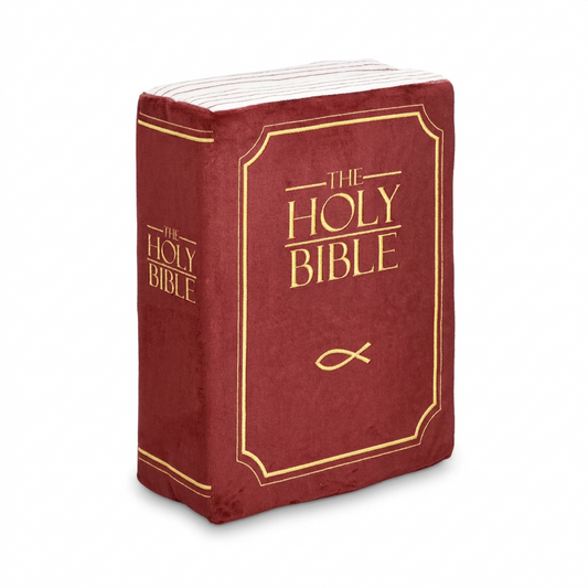 Holy Pillow Bible pillow